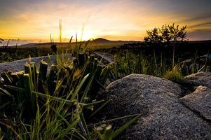 African Budget Safaris is based in Cape Town