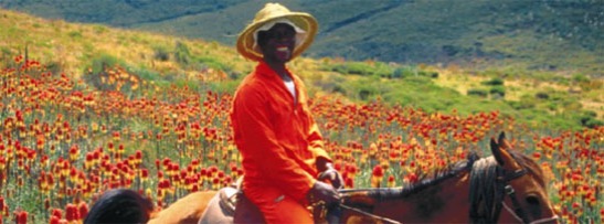 Lesotho