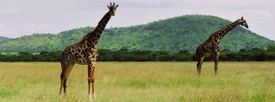 Serengeti National Park