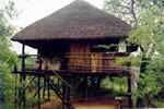 Budget Safaris