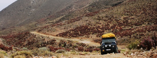 4x4 Safari in a Land Rover