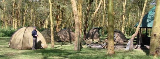 Camping safaris