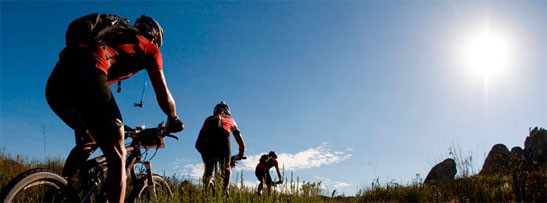 Mountain biking safaris