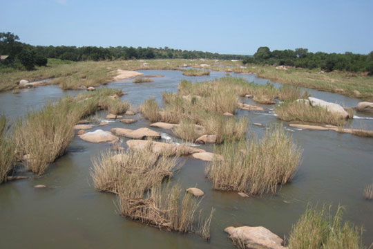 Sabie River at Kruger Park's Paul Kruger gate