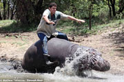 South African farmer on hippo