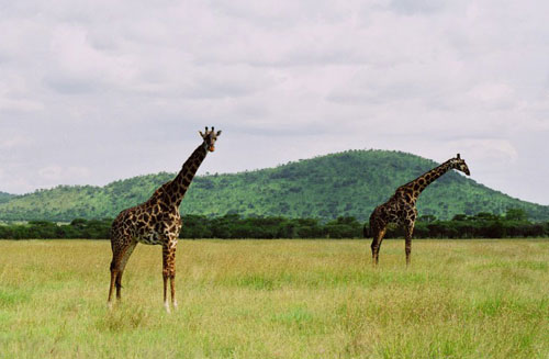 Serengeti National Park