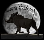Veldfundi Wildlife Videos