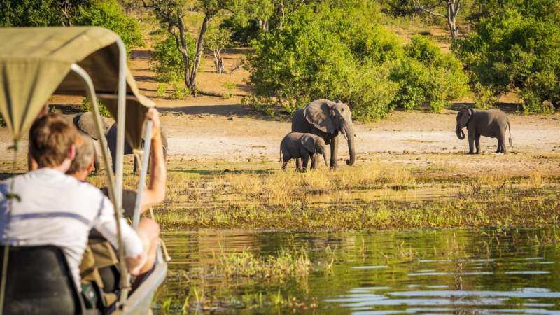 Chobe river cruise, Botswana