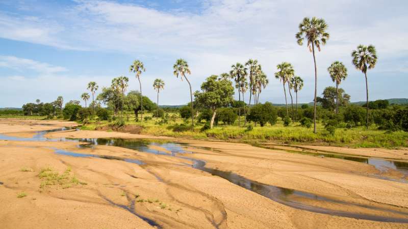 Ruaha in Tanzania
