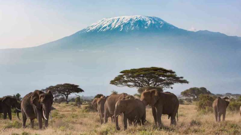 Kilimanjaro from Kenya safaris