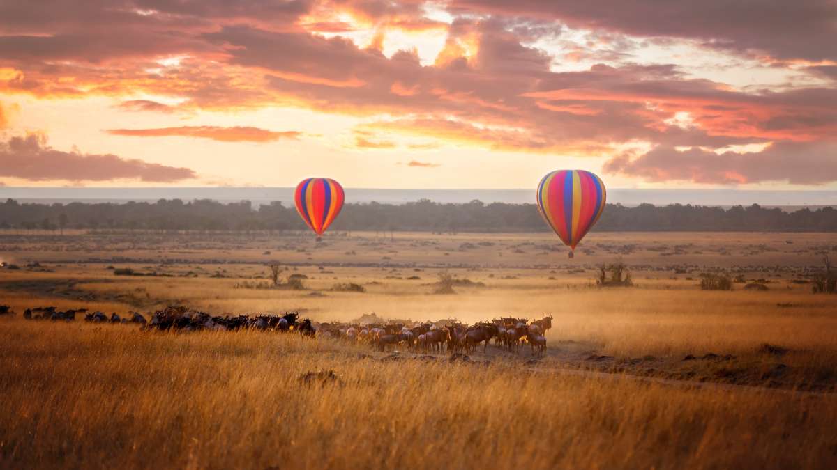 Kenya safari - sunrise in Masai Mara