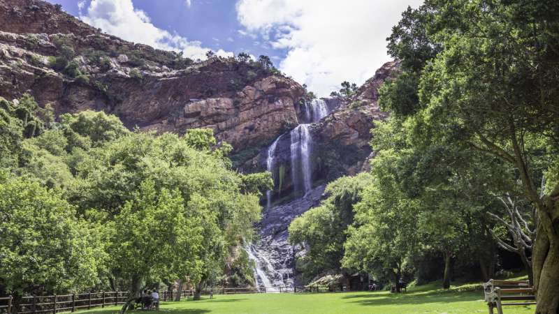Walter Sisulu National Botanical Gardens Johannesburg