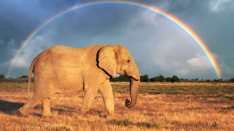 Windhoek combines with Etosha