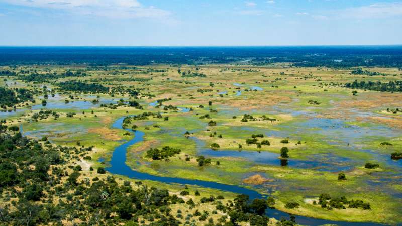 Moremi Game Reserve Botswana