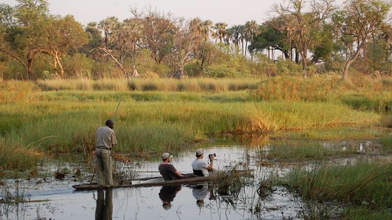 Moremi crossing mokoros