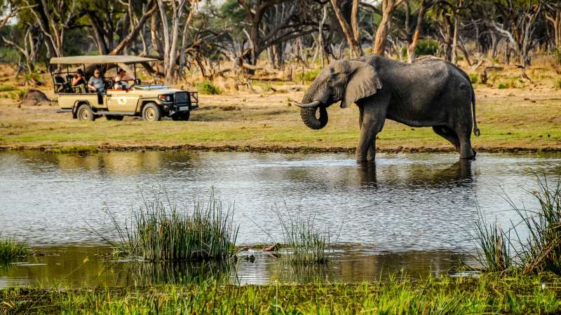 Chobe combines with Livingstone