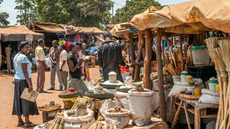 Livingstone market