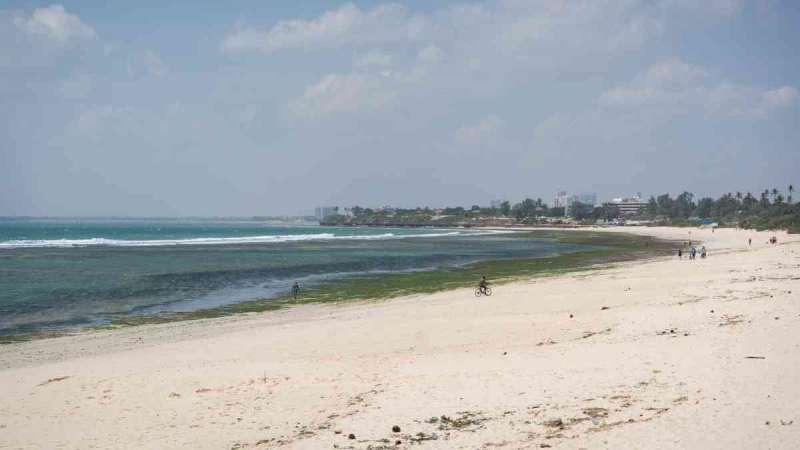 Beach outside dar es salaam