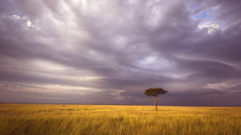 Serengeti safari from Dar es Salaam