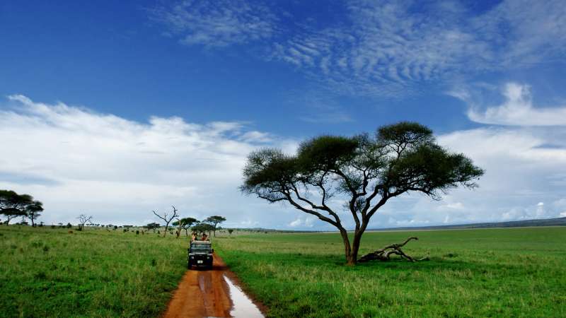 Arusha is the starting point for all northern safari circuit tours in Tanzania
