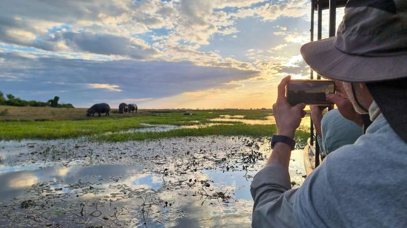 Chobe water safari