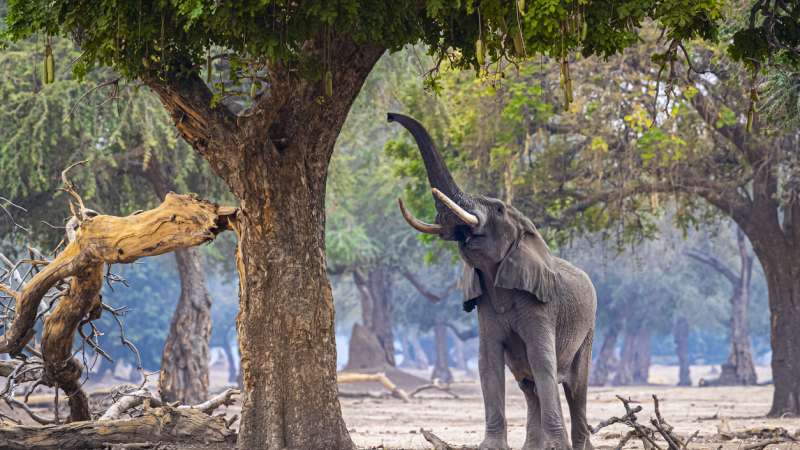Zambia combines well with Lilongwe