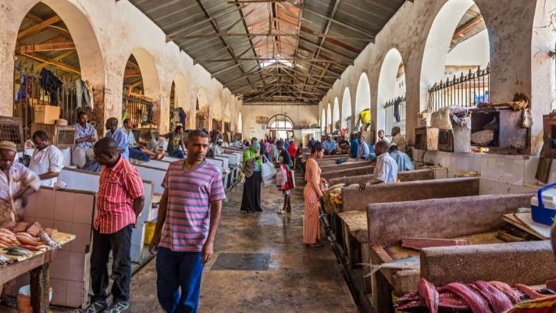 Stone town indoor fish market