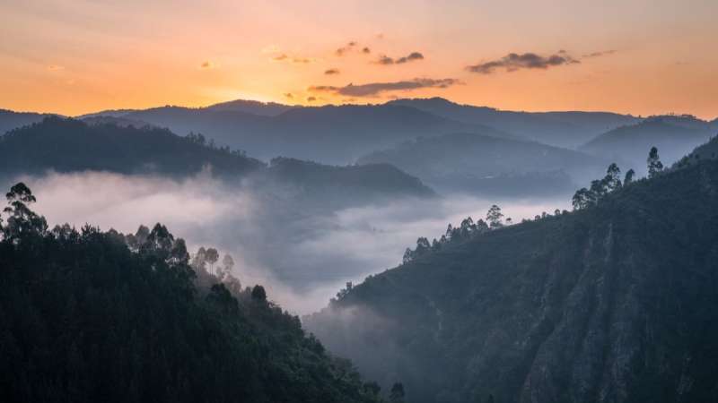Hills of bwindi national park