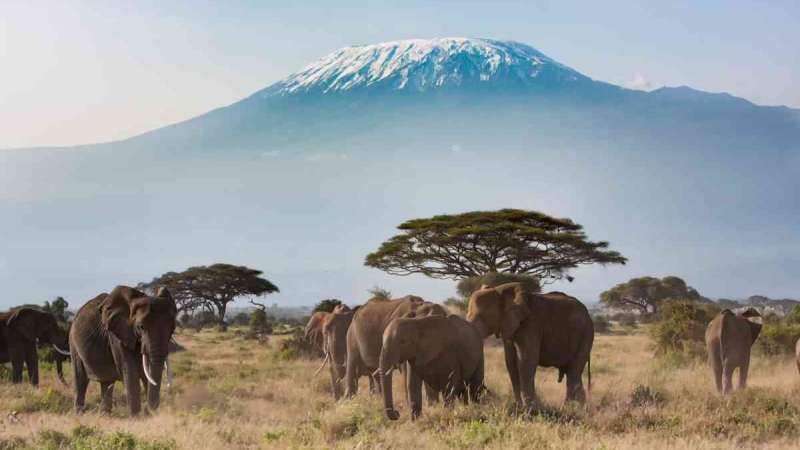 Best view of Kili from Amboseli, Kenya