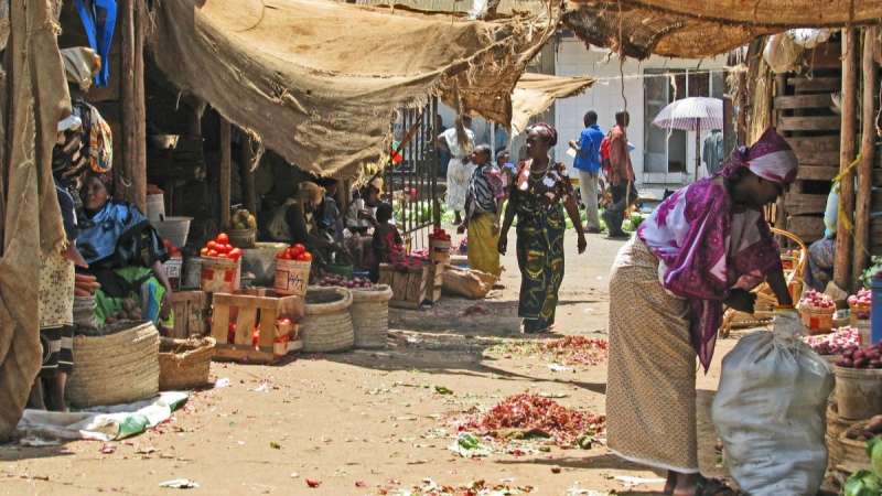 Moshi market