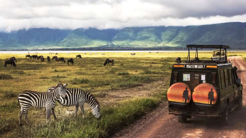 Safari ngorongoro crater
