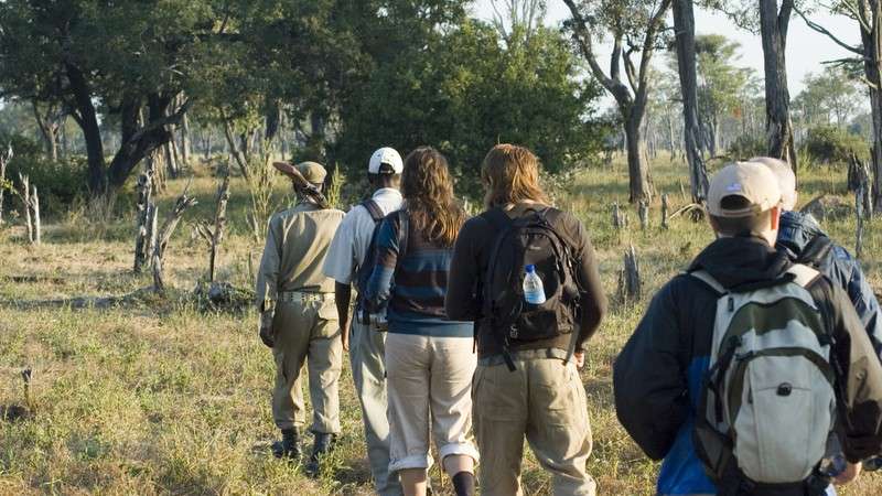 Walking safari in zambian national parks