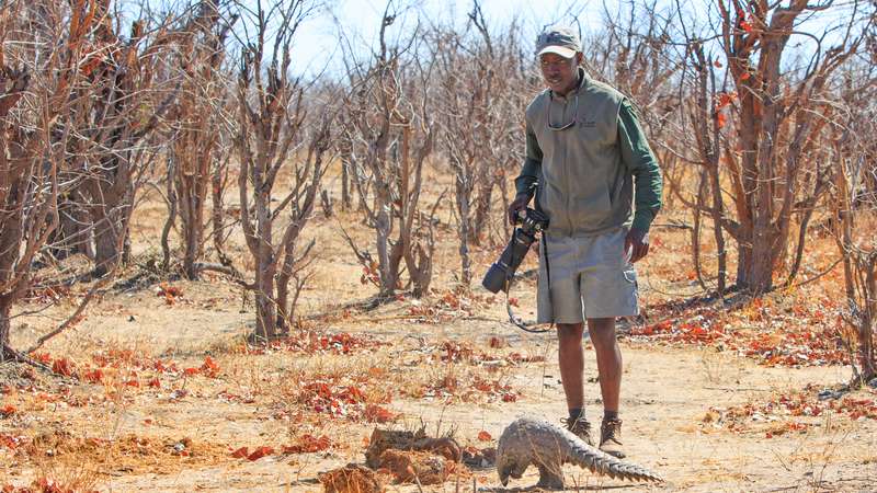 Safari guide hwange national park