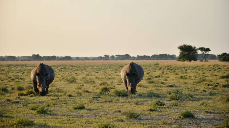 Khama rhino sanctuary
