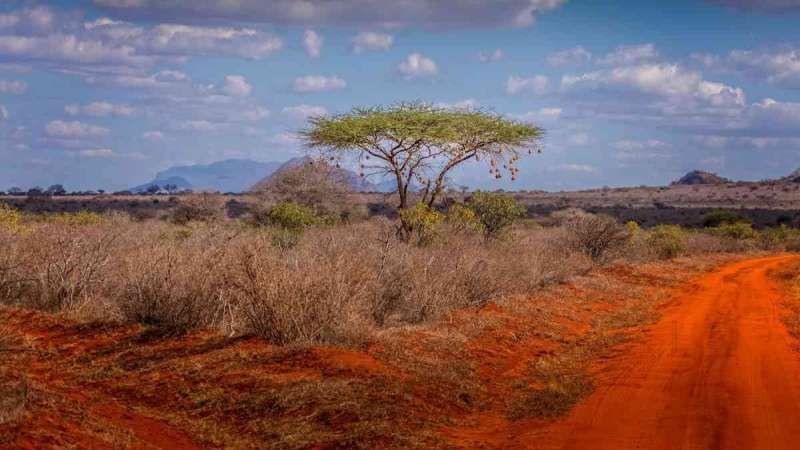 Tsavo East landscape