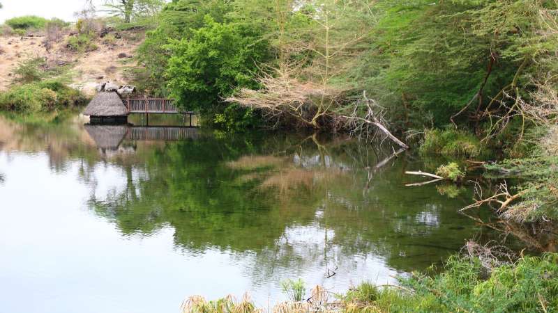 Mzima springs Tsavo