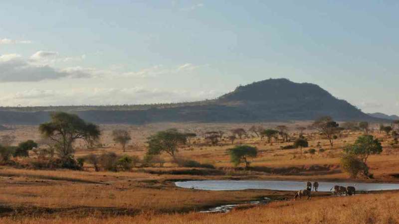 Tsavo west waterhole