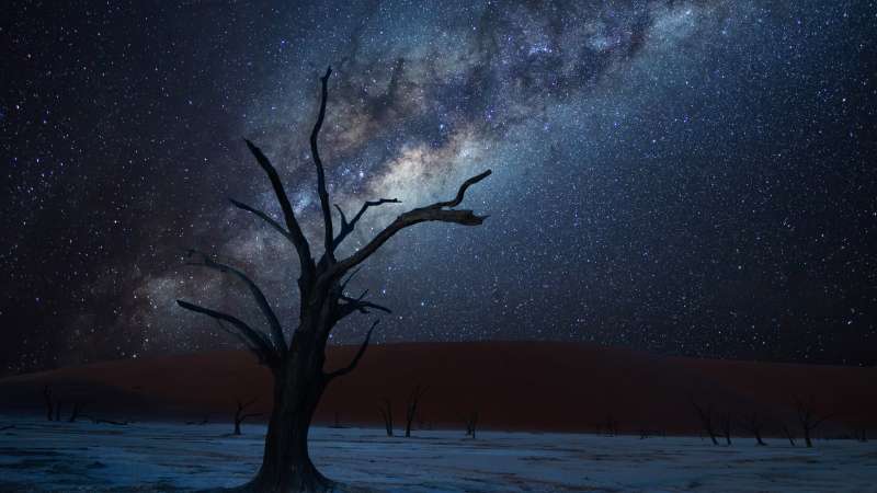 Namibia night sky in winter safari