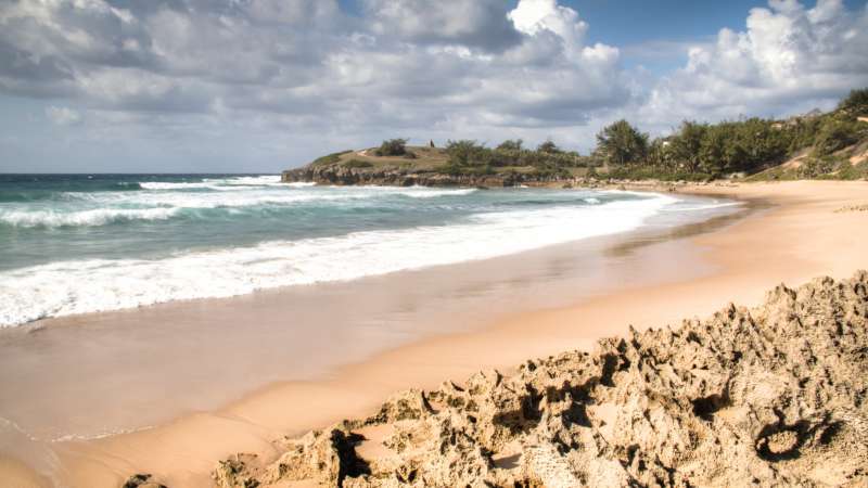 Tofu beach