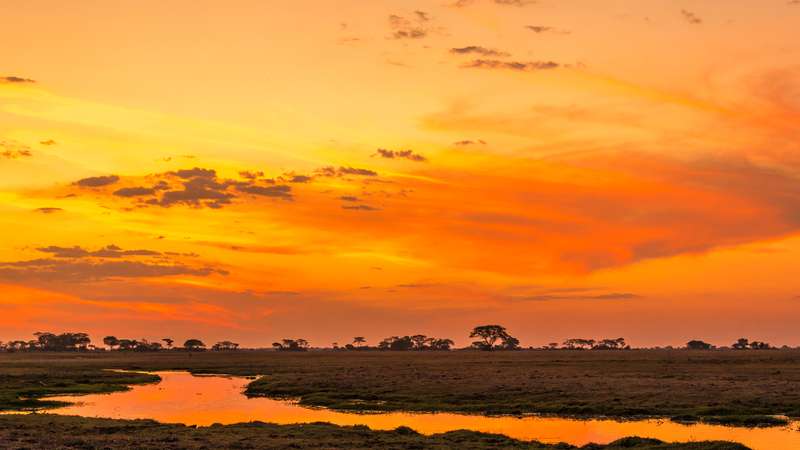 Kafue national park