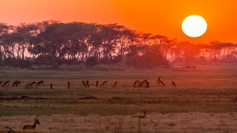 Kafue national park at sunrize