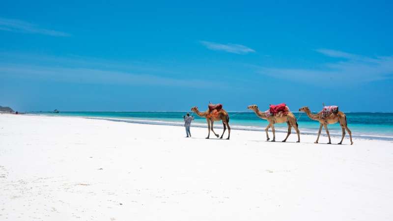 Mombasa beach