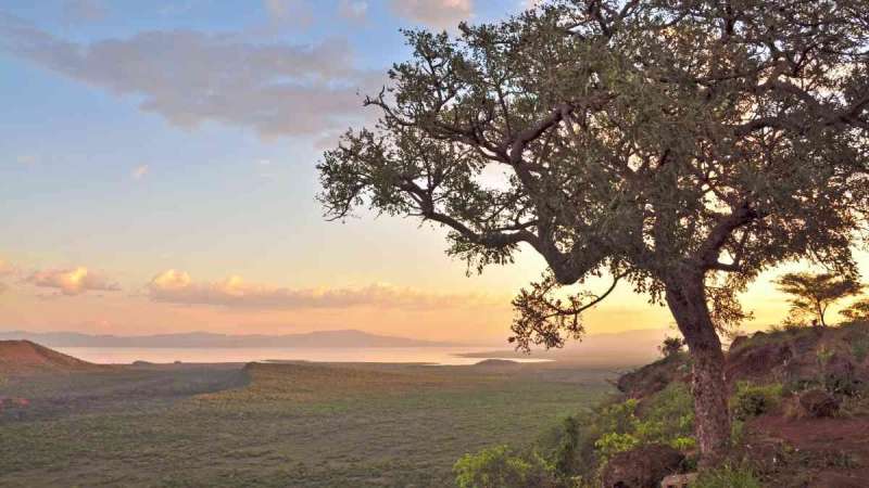 Great rift valley