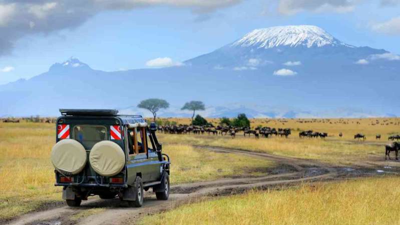 Tourists on a game drive vehicle watching wildlife in Amboseli