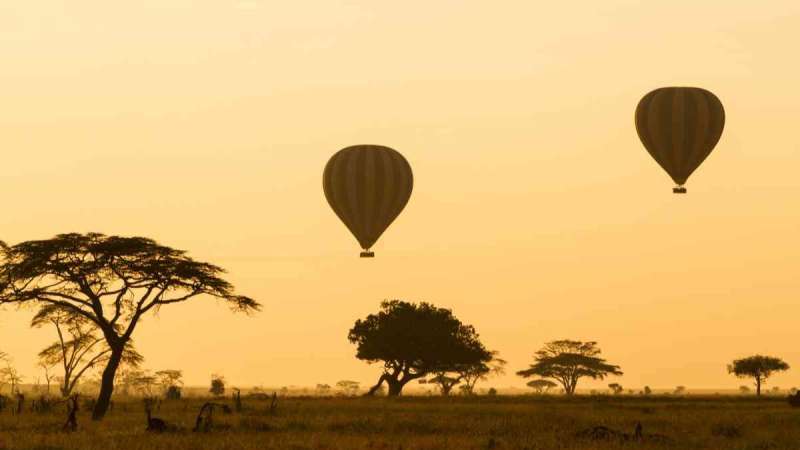 Hot air ballooning over the serengeti at dawn