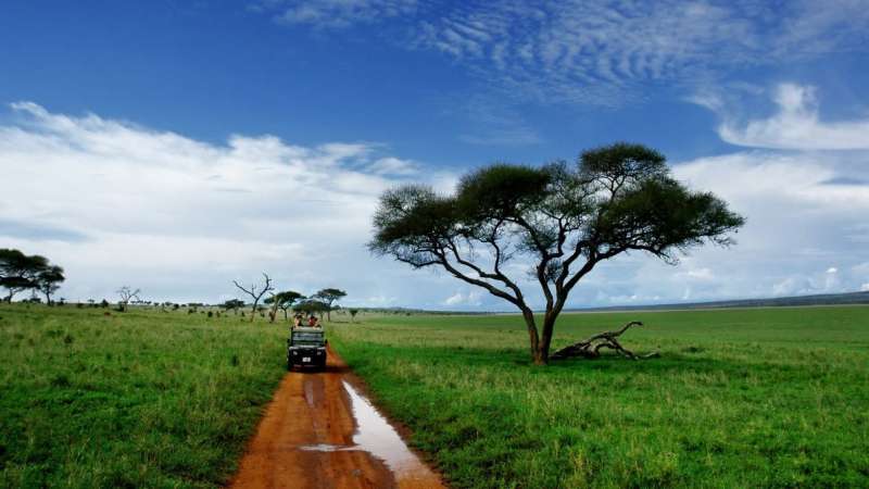 Serengeti game drive