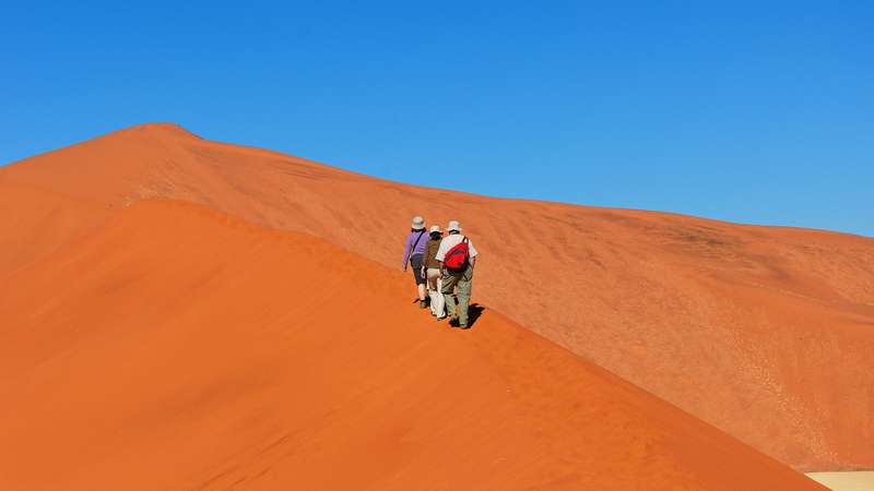 Dune climbing desert safari