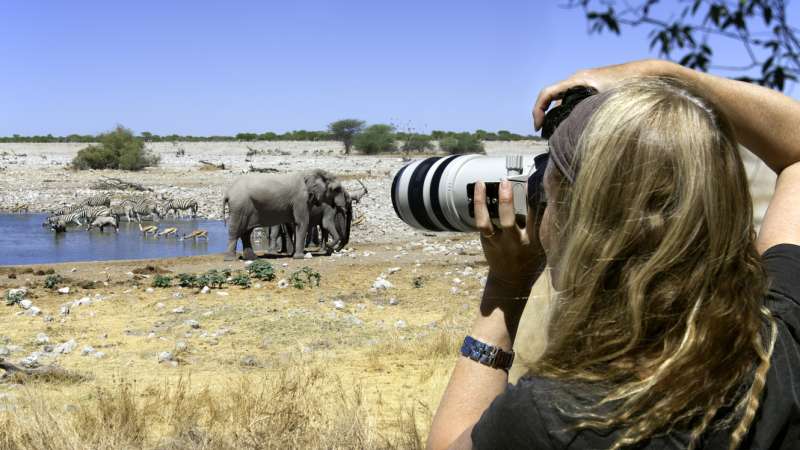 Etosha safari combo