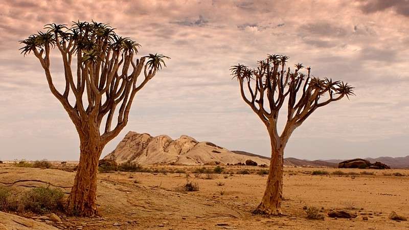 Naukluft-nature-reserve-namib-desert