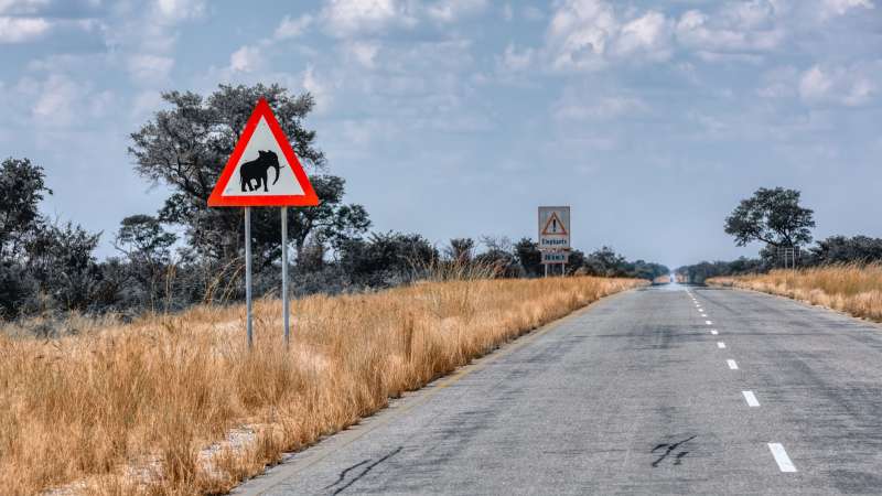 Scenic Road Through Caprivi Strip Namibia Travel
